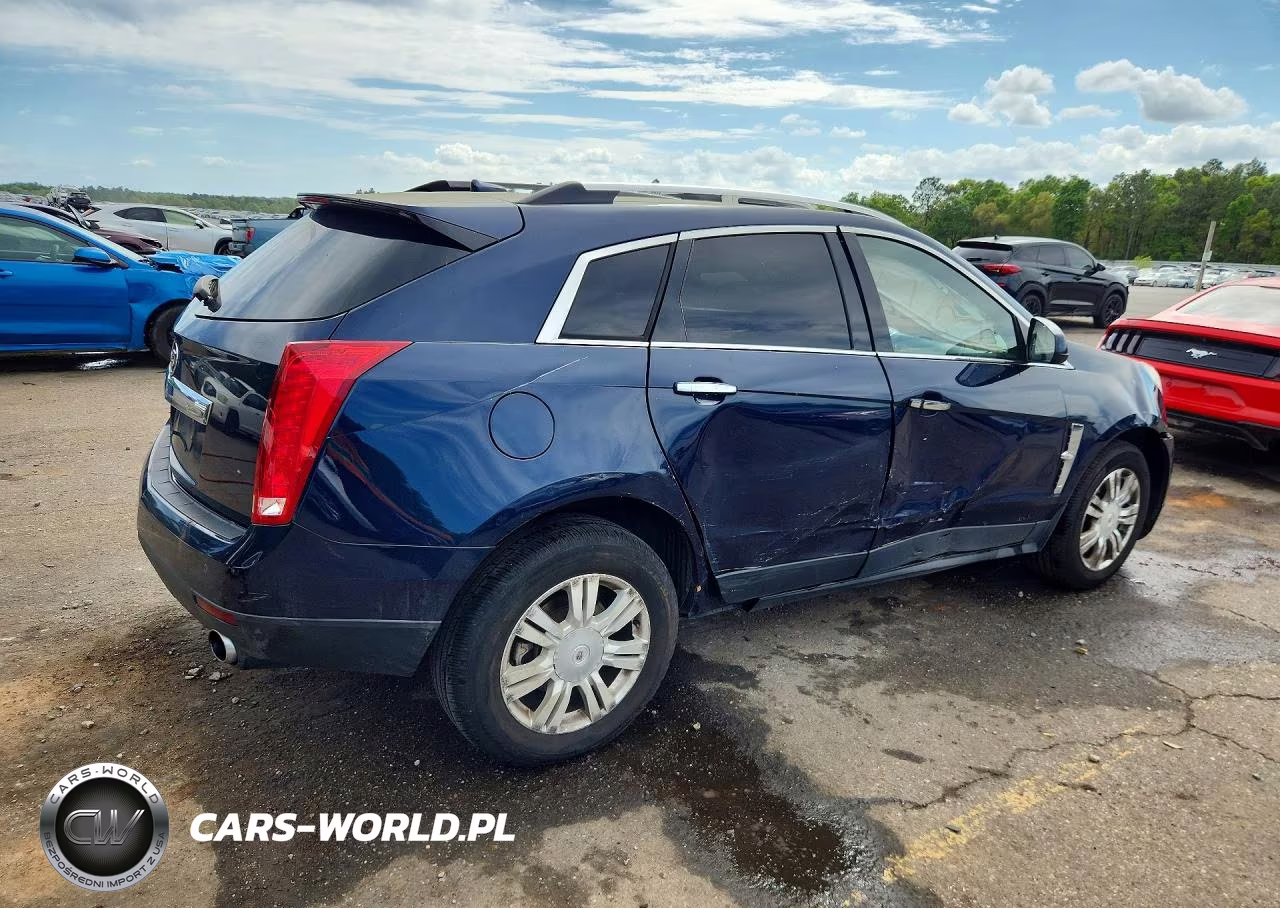 2010 Cadillac Srx Luxury Collection VIN:3GYFNAEY6AS631663 - 3