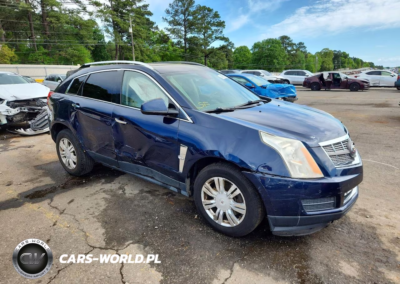 2010 Cadillac Srx Luxury Collection VIN:3GYFNAEY6AS631663 - 4
