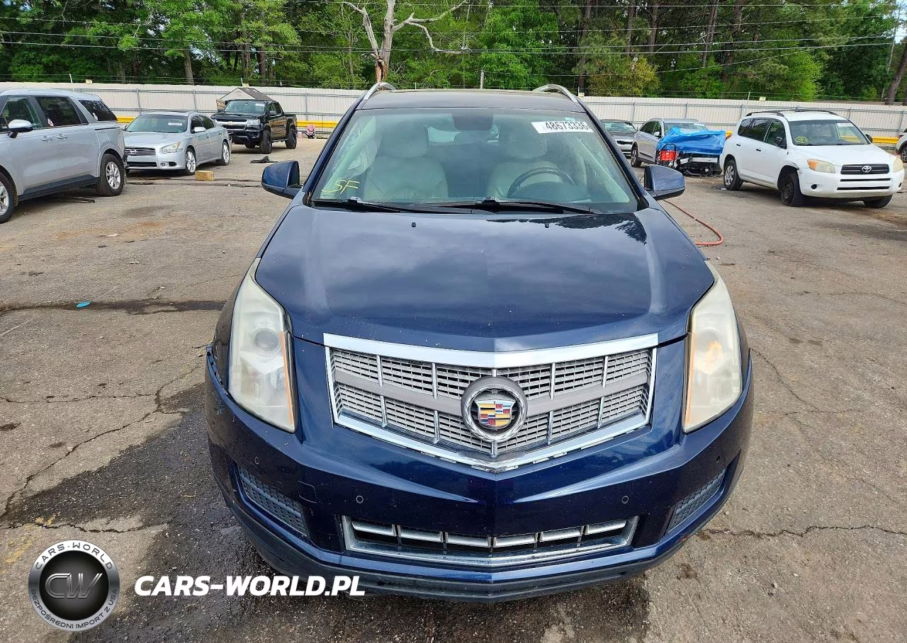 2010 Cadillac Srx Luxury Collection VIN:3GYFNAEY6AS631663 - 5