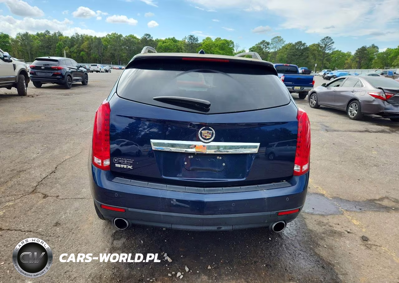 2010 Cadillac Srx Luxury Collection VIN:3GYFNAEY6AS631663 - 6