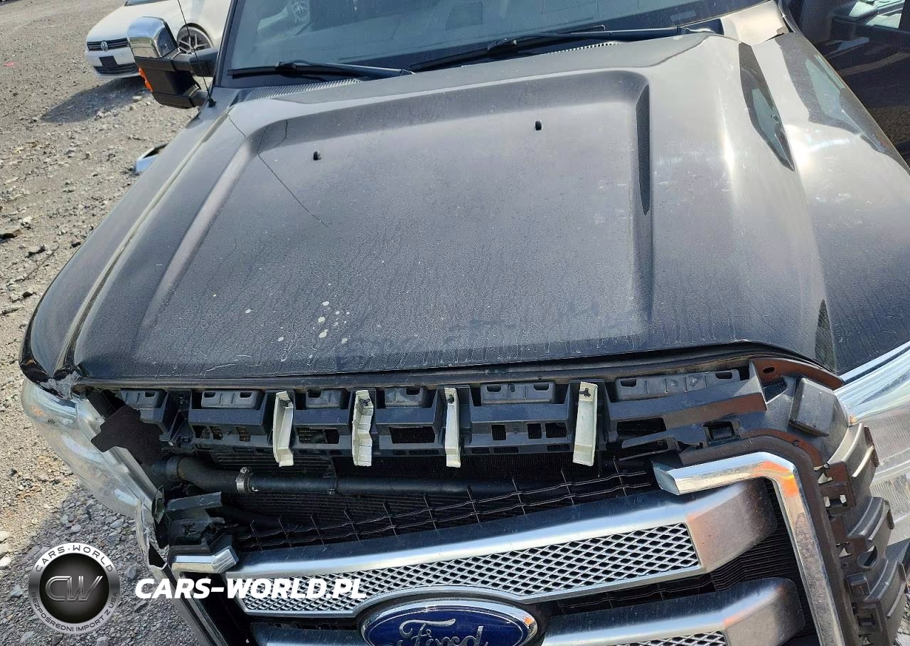 2016 Ford F350 Super Duty VIN:1FT8W3BT6GEA78399 - 11