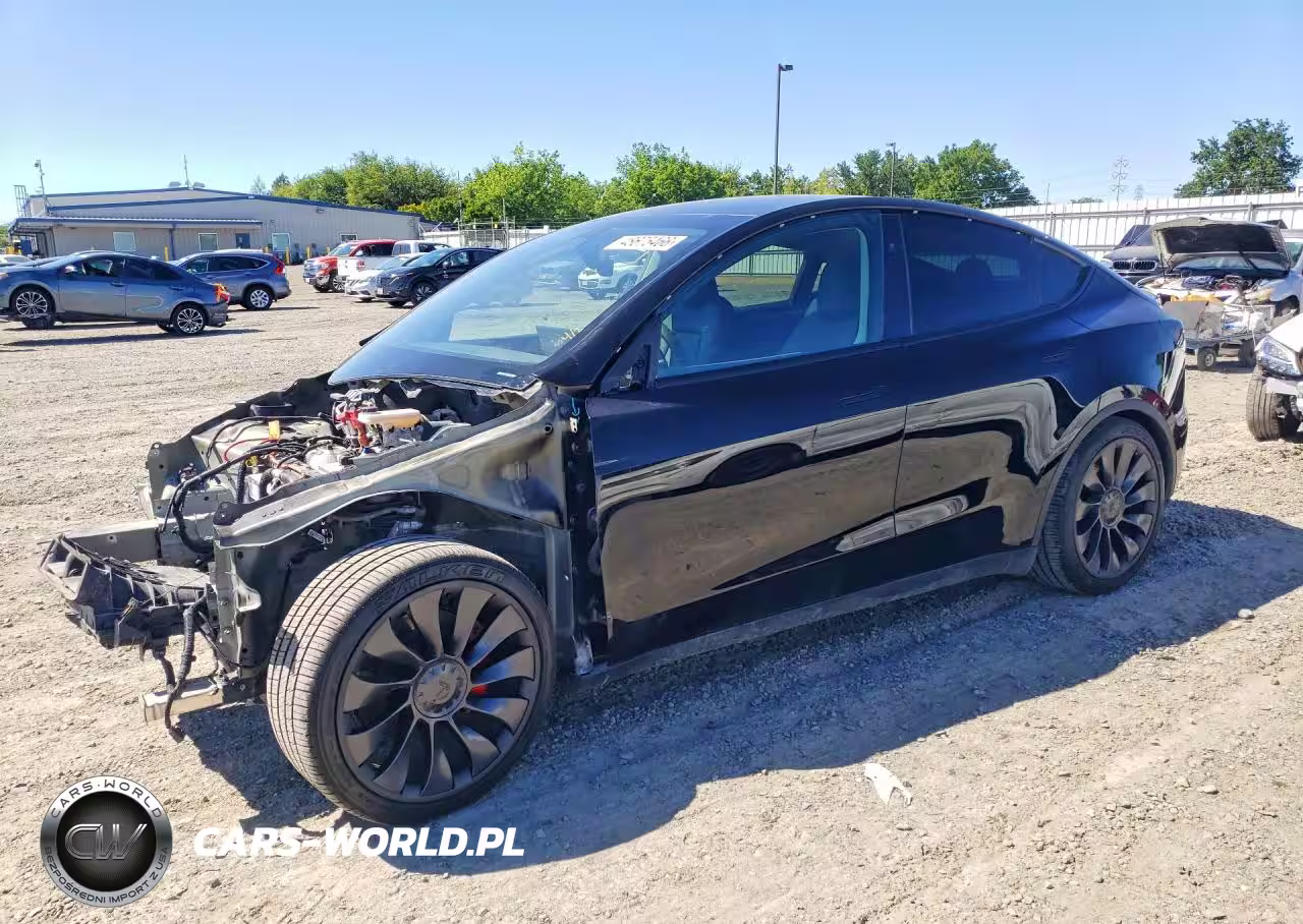 2024 Tesla Model Y