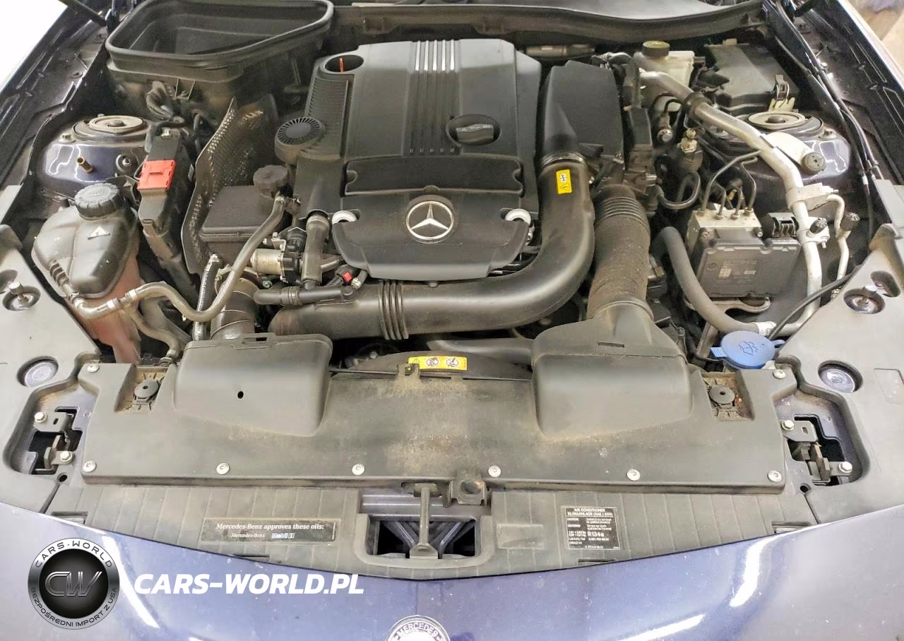 2015 Mercedes-Benz Slk 250 VIN:WDDPK4HA8FF097764 - 11