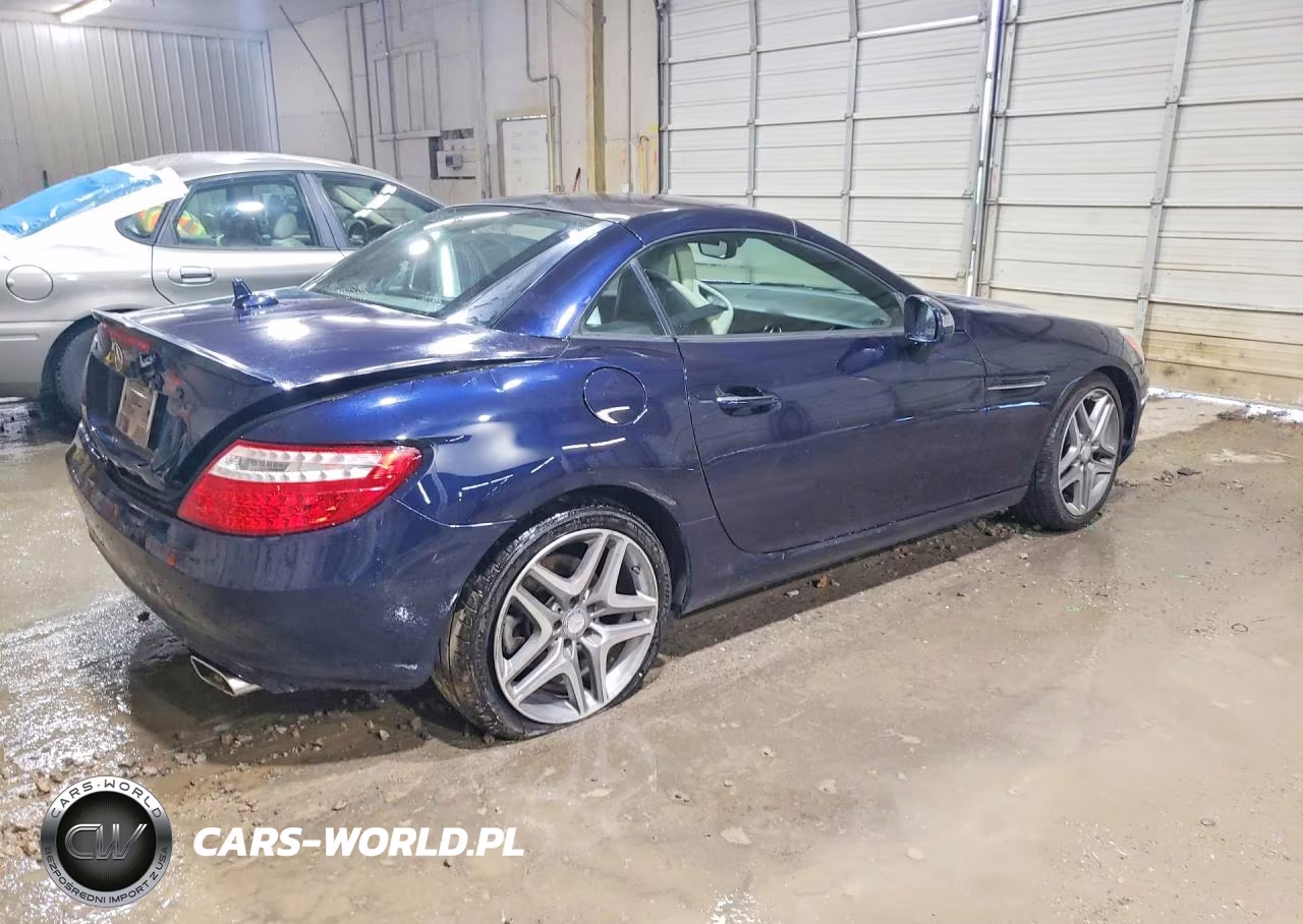 2015 Mercedes-Benz Slk 250 VIN:WDDPK4HA8FF097764 - 3