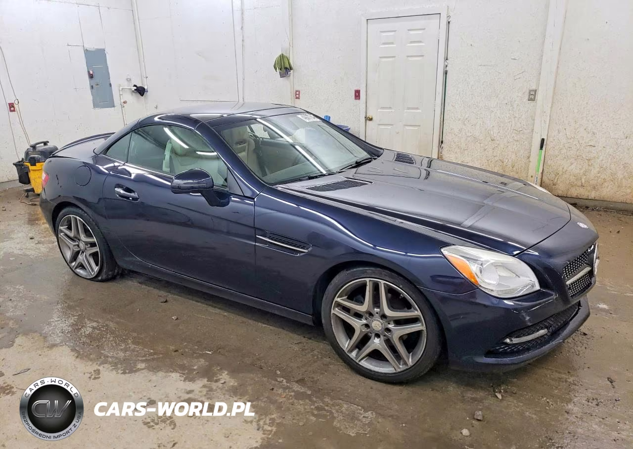 2015 Mercedes-Benz Slk 250 VIN:WDDPK4HA8FF097764 - 4