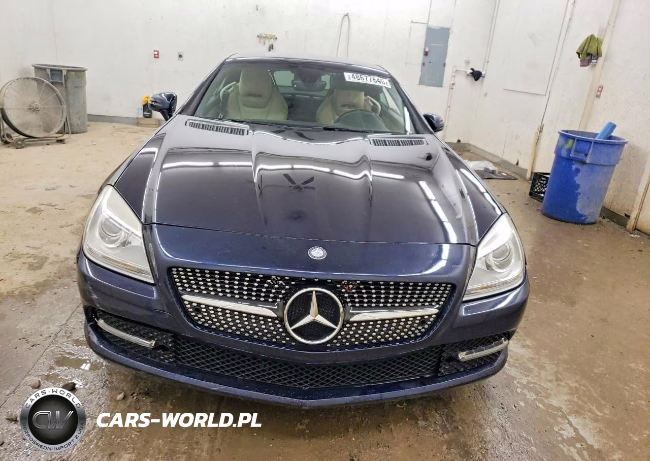 2015 Mercedes-Benz Slk 250 VIN:WDDPK4HA8FF097764 - 5