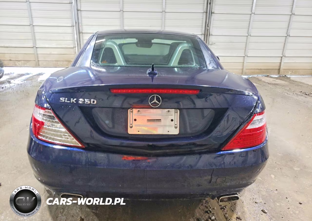 2015 Mercedes-Benz Slk 250 VIN:WDDPK4HA8FF097764 - 6