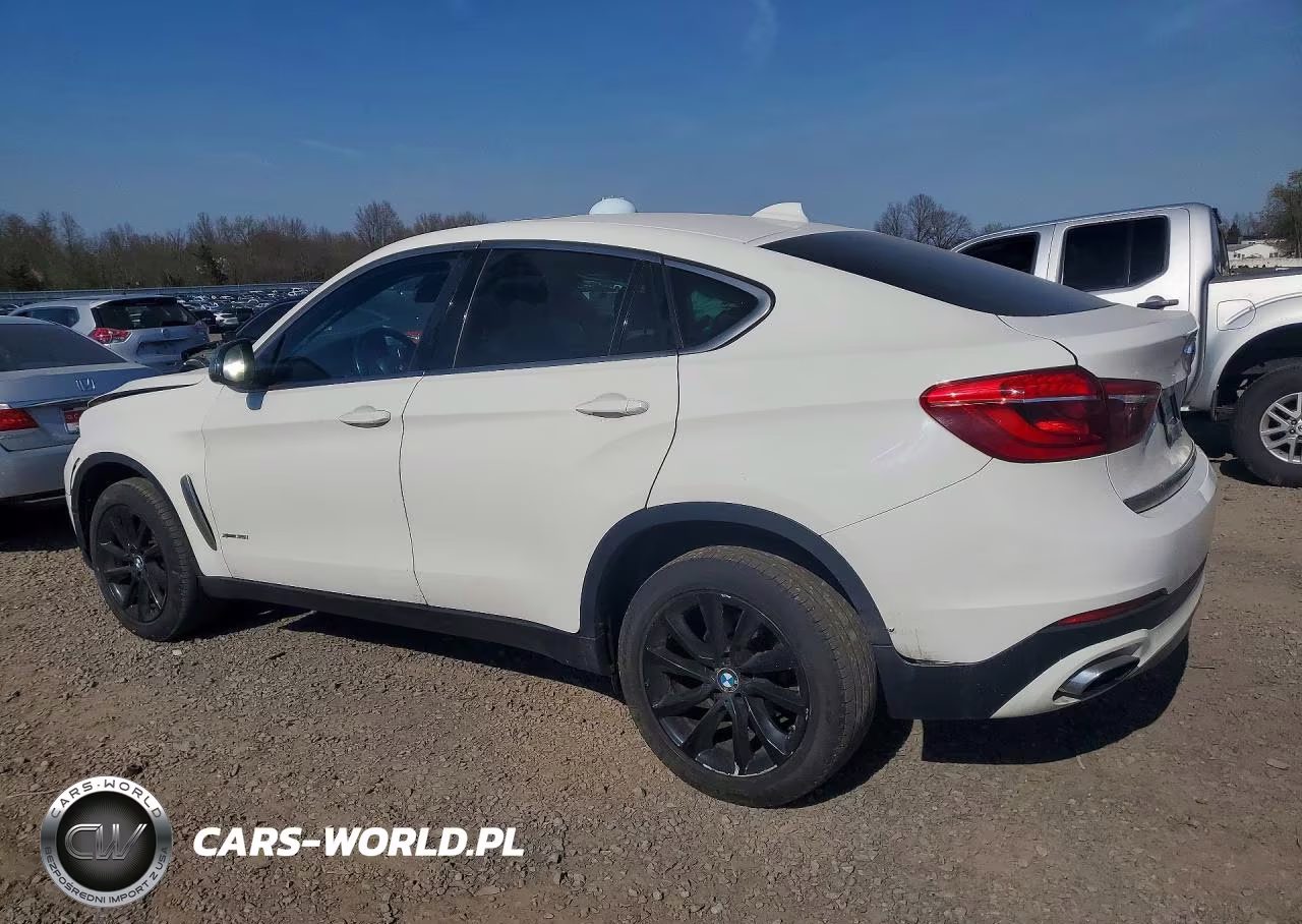 2019 BMW X6 xDrive35I VIN:5UXKU2C56K0Z64118 - 2