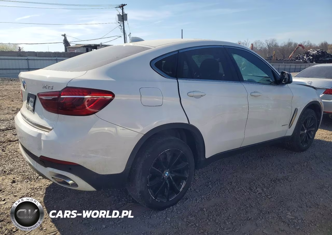 2019 BMW X6 xDrive35I VIN:5UXKU2C56K0Z64118 - 3