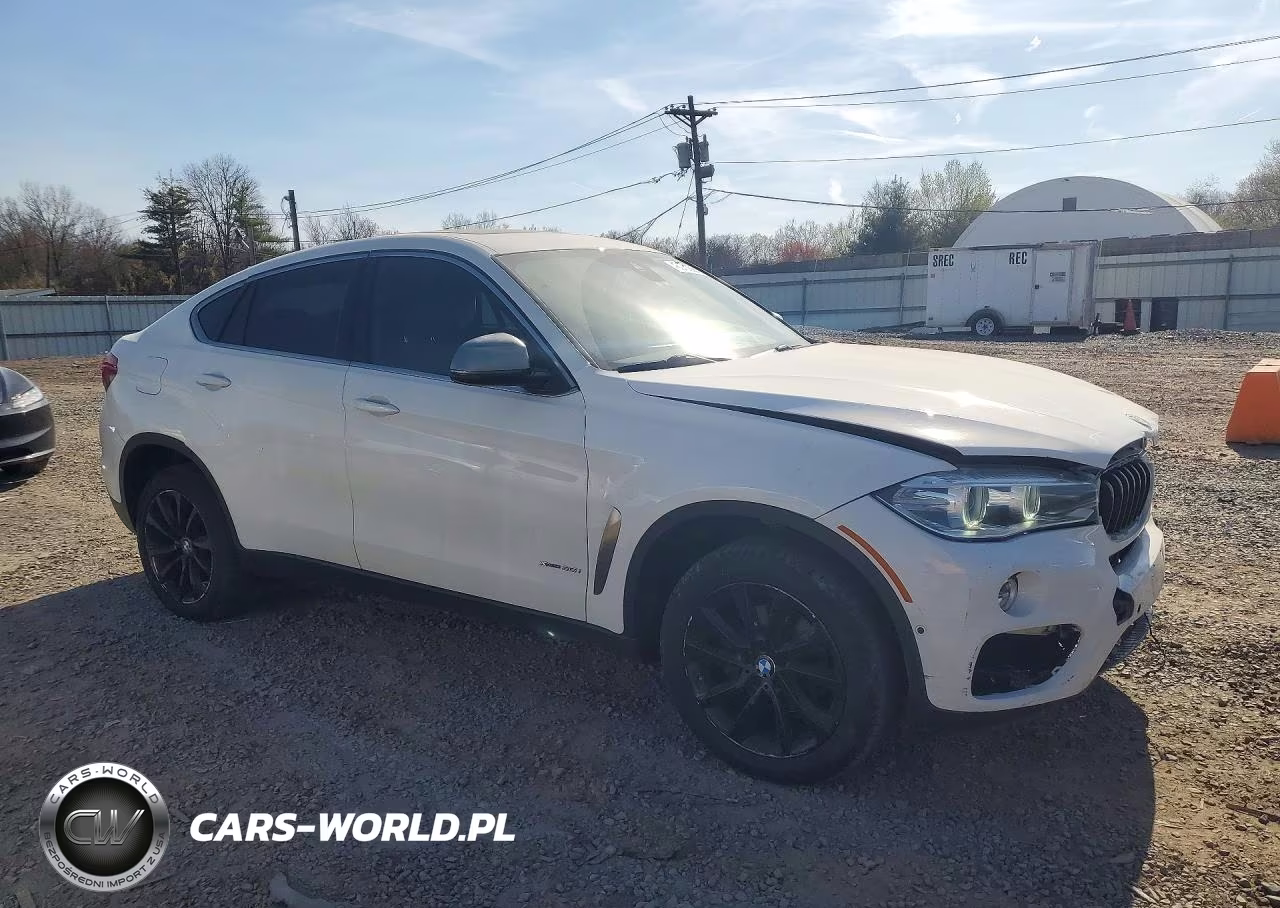 2019 BMW X6 xDrive35I VIN:5UXKU2C56K0Z64118 - 4