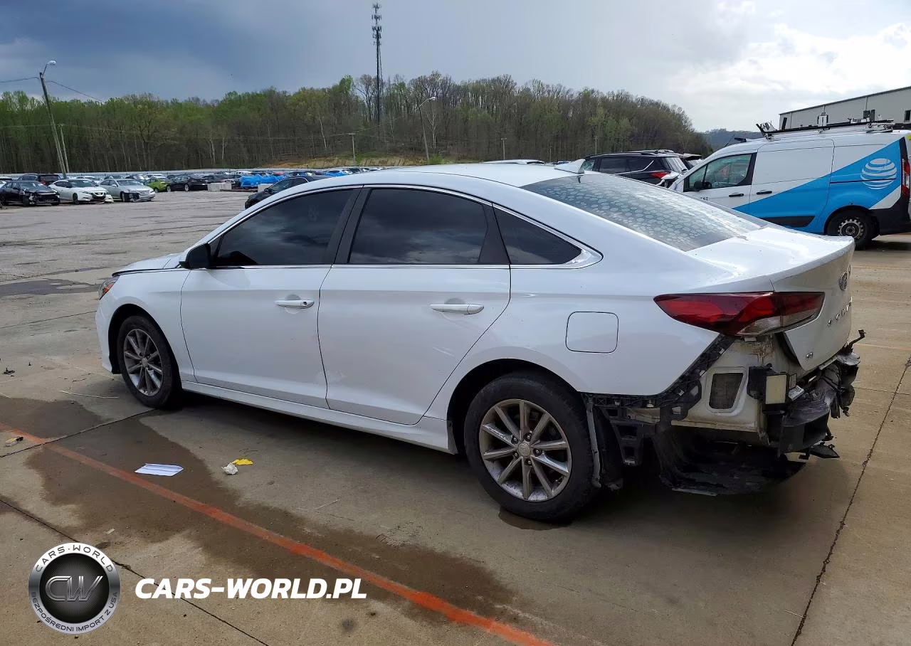 2019 Hyundai Sonata Se VIN:5NPE24AF5KH736447 - 2