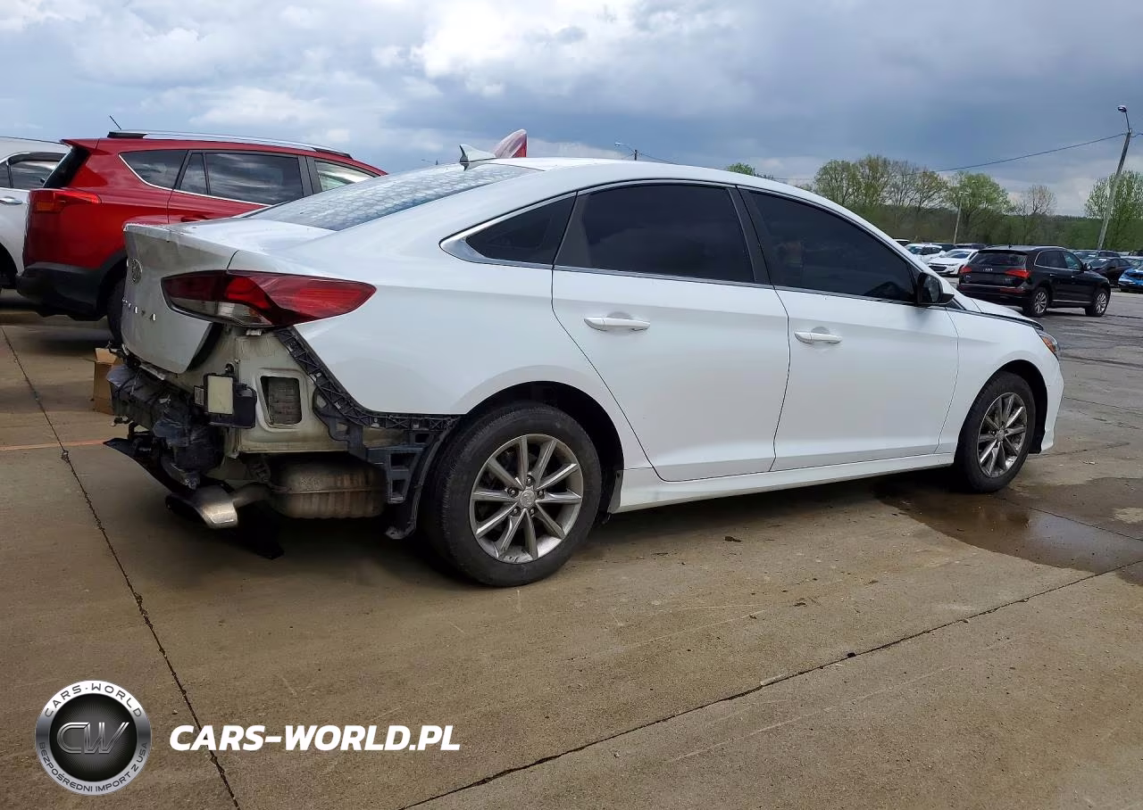 2019 Hyundai Sonata Se VIN:5NPE24AF5KH736447 - 3