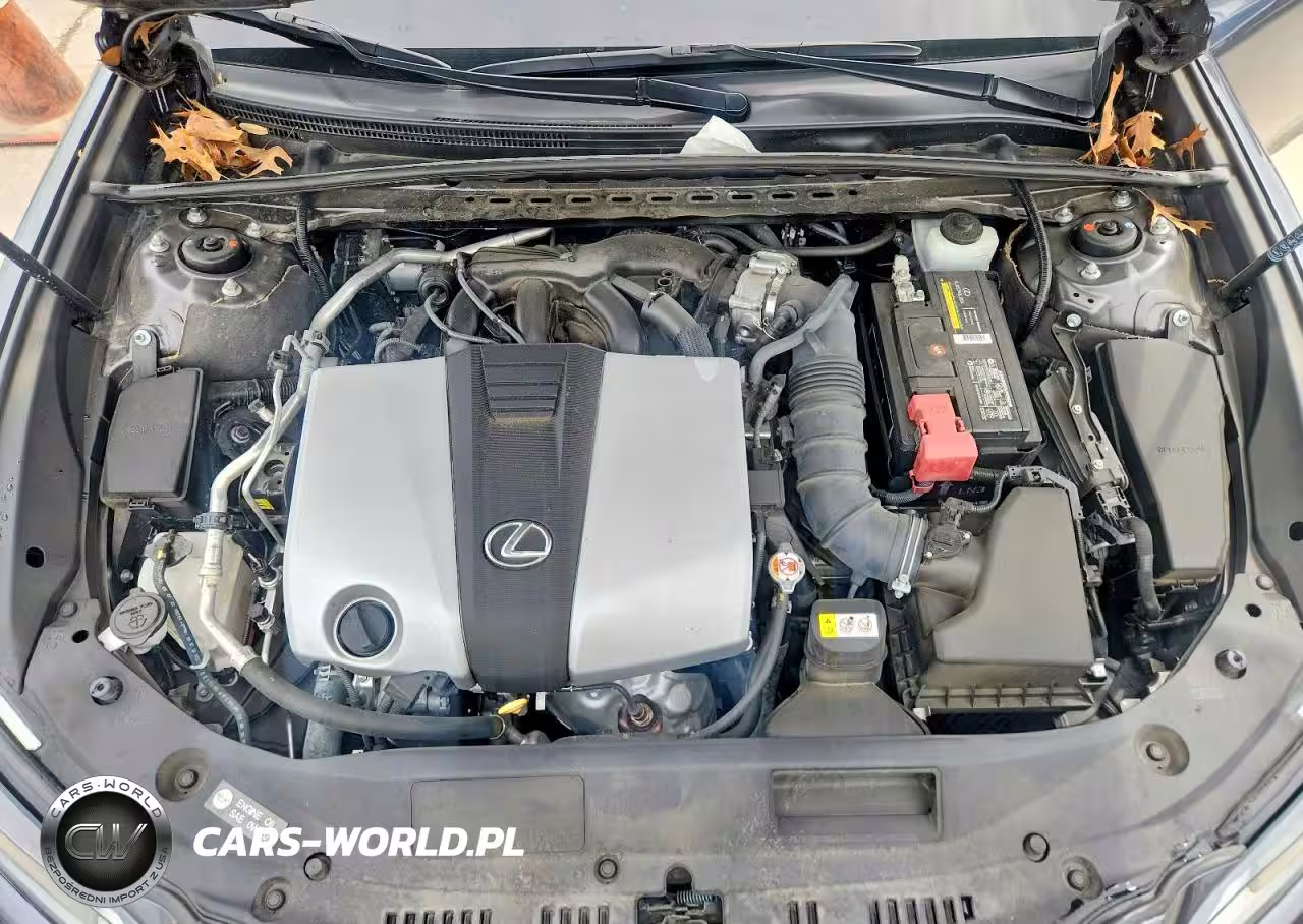 2023 Lexus Es 350 Base VIN:58ADZ1B1XPU146528 - 11