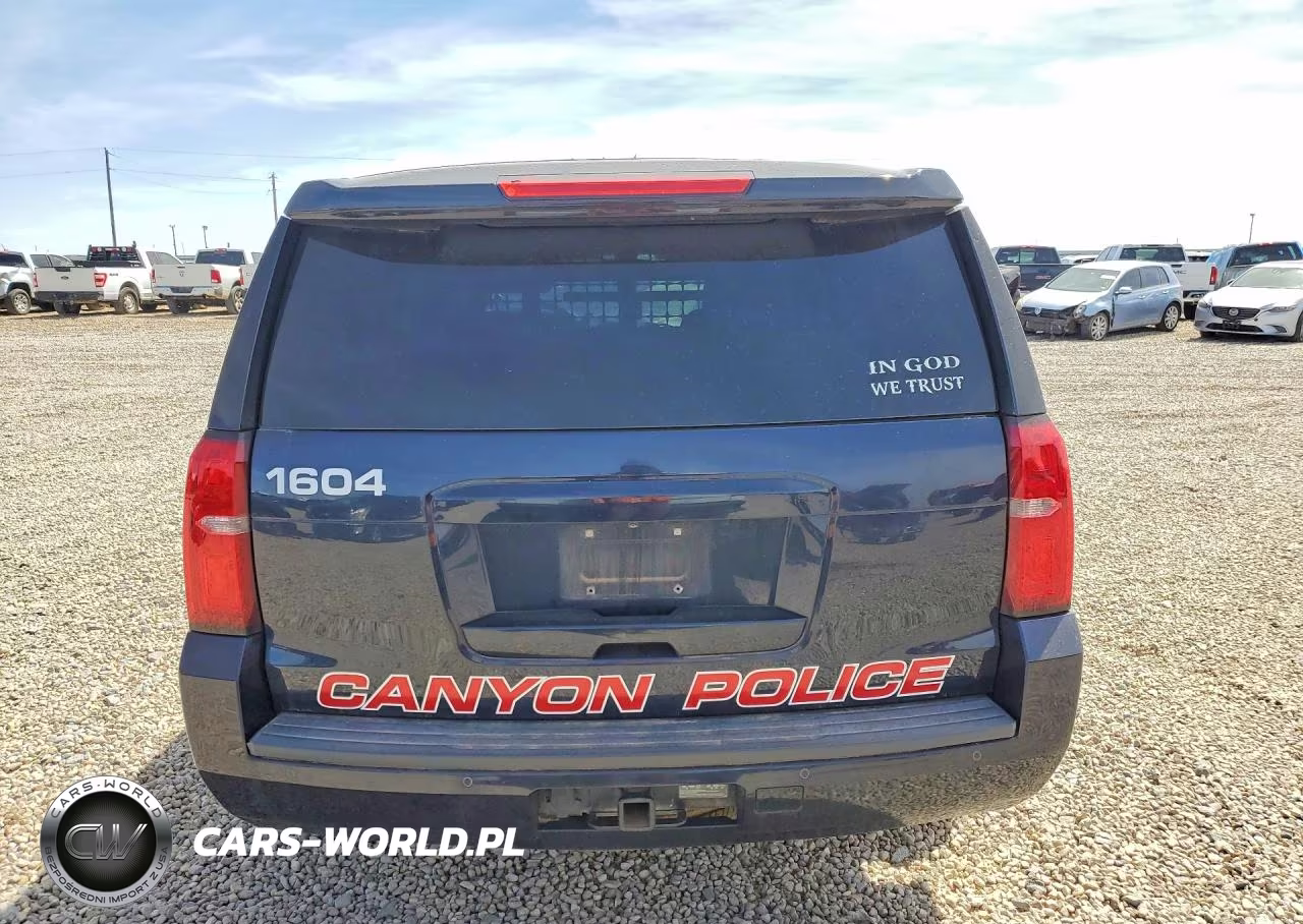2016 Chevrolet Tahoe Police VIN:1GNSKDEC1GR250230 - 6