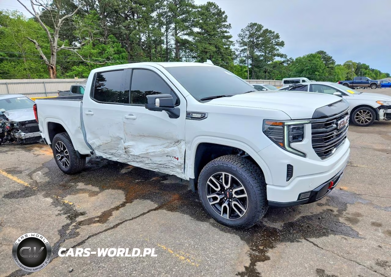 2025 GMC Sierra K1500 At4 VIN:3GTUUEE89SG348248 - 4