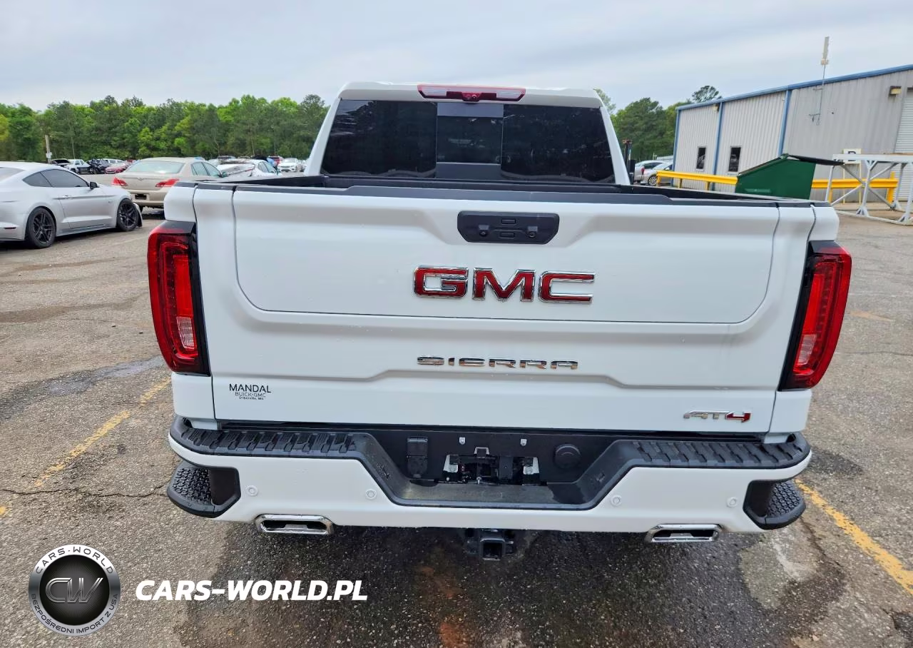 2025 GMC Sierra K1500 At4 VIN:3GTUUEE89SG348248 - 6