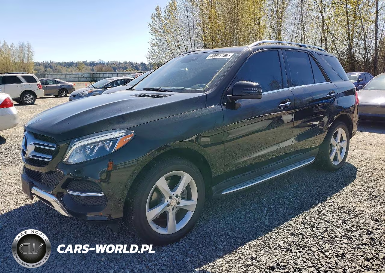 2017 Mercedes-Benz Gle 350 VIN:4JGDA5JB5HA832821 - 1