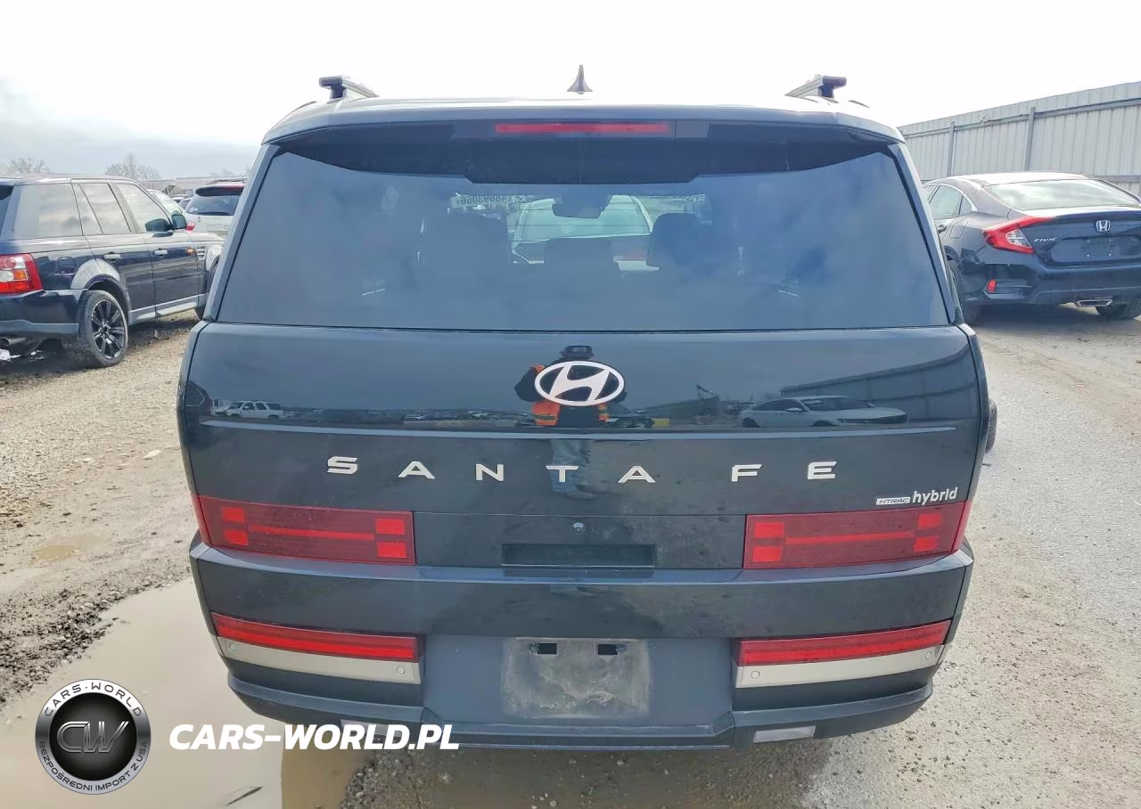 2024 Hyundai Santa Fe Hybrid Limited VIN:5NMP3DG1XRH007272 - 6