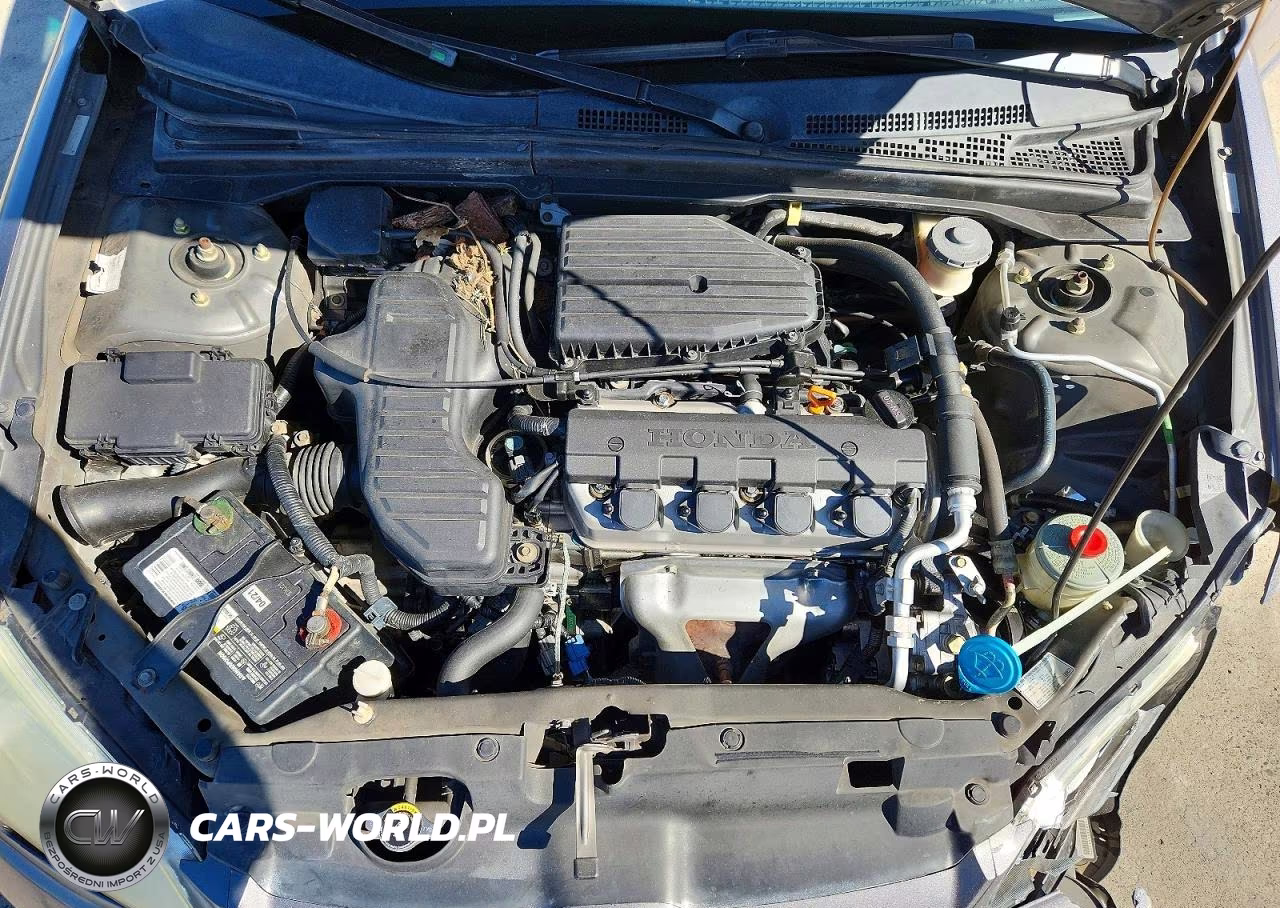 2004 Honda Civic Lx VIN:2HGES16574H509594 - 11