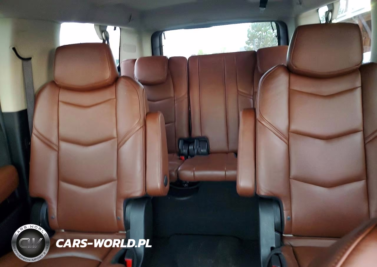 2020 Cadillac Escalade Esv Luxury VIN:1GYS4HKJ6LR169337 - 10