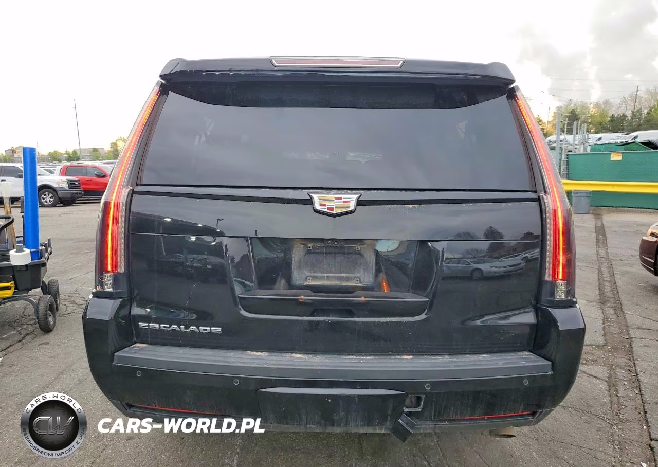 2020 Cadillac Escalade Esv Luxury VIN:1GYS4HKJ6LR169337 - 6