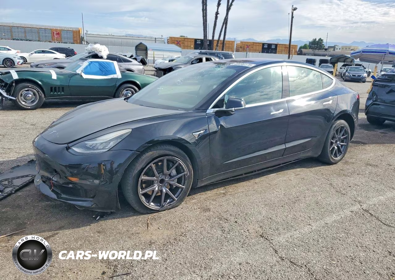 2019 Tesla Model 3