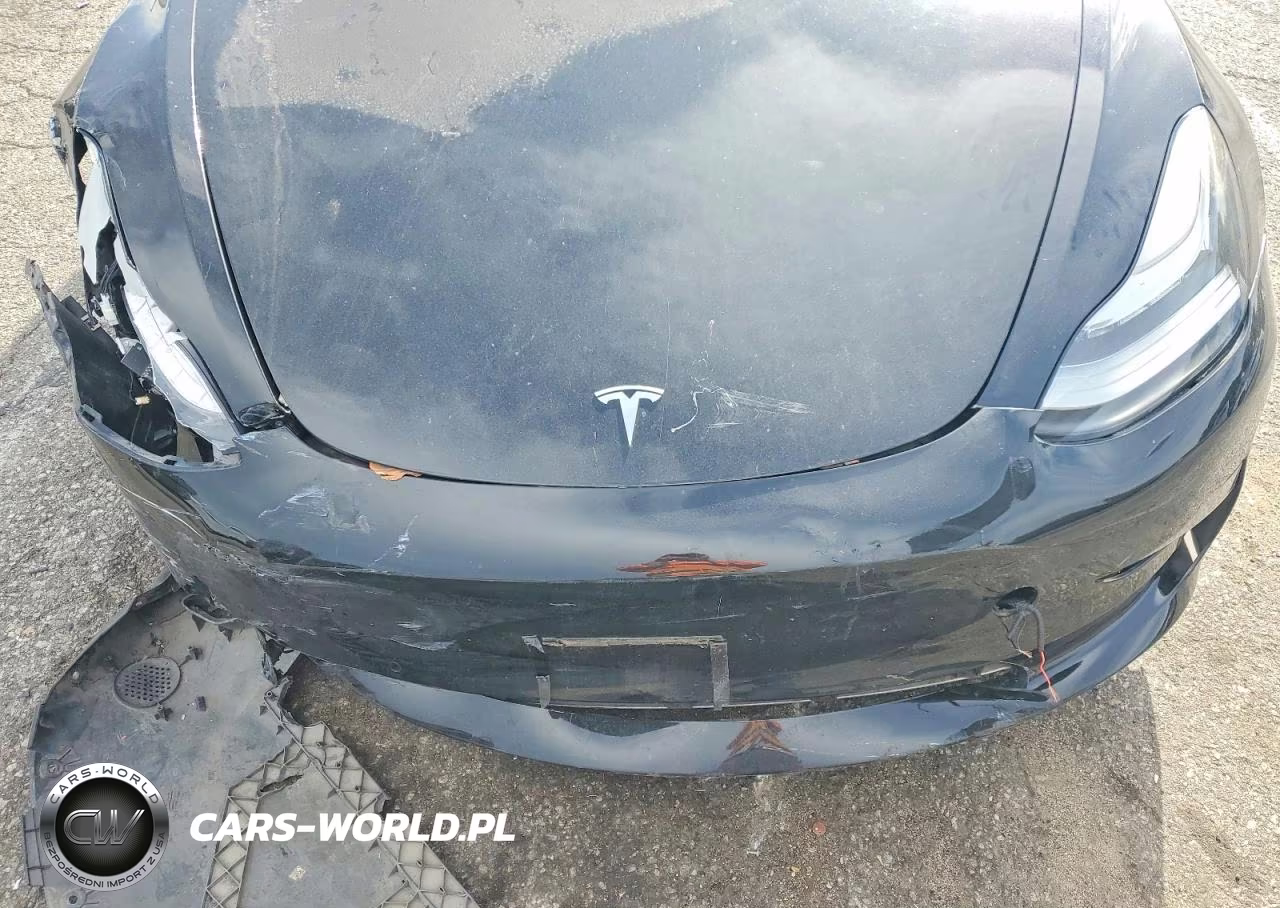 2019 Tesla Model 3 VIN:5YJ3E1EA0KF325175 - 11