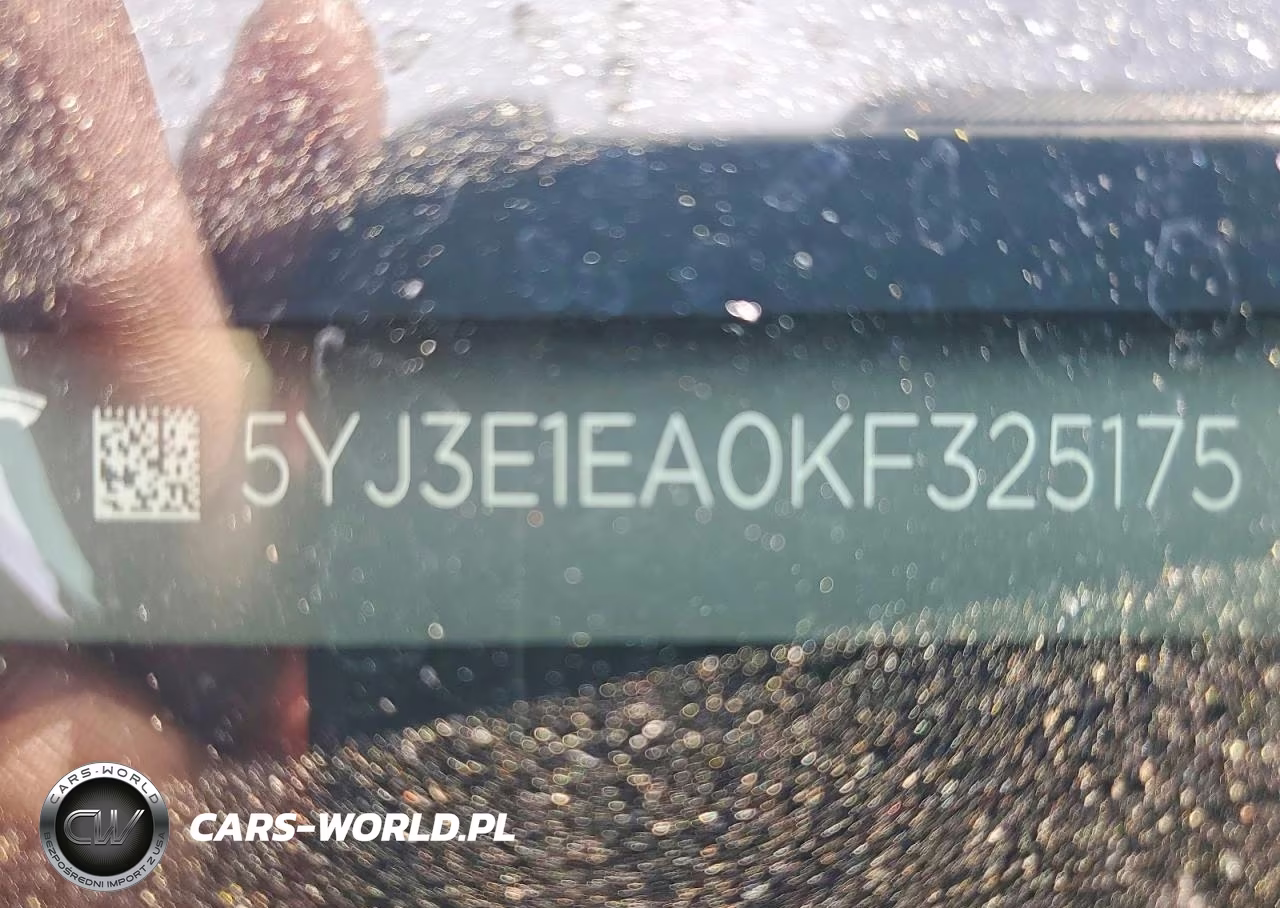 2019 Tesla Model 3 VIN:5YJ3E1EA0KF325175 - 12