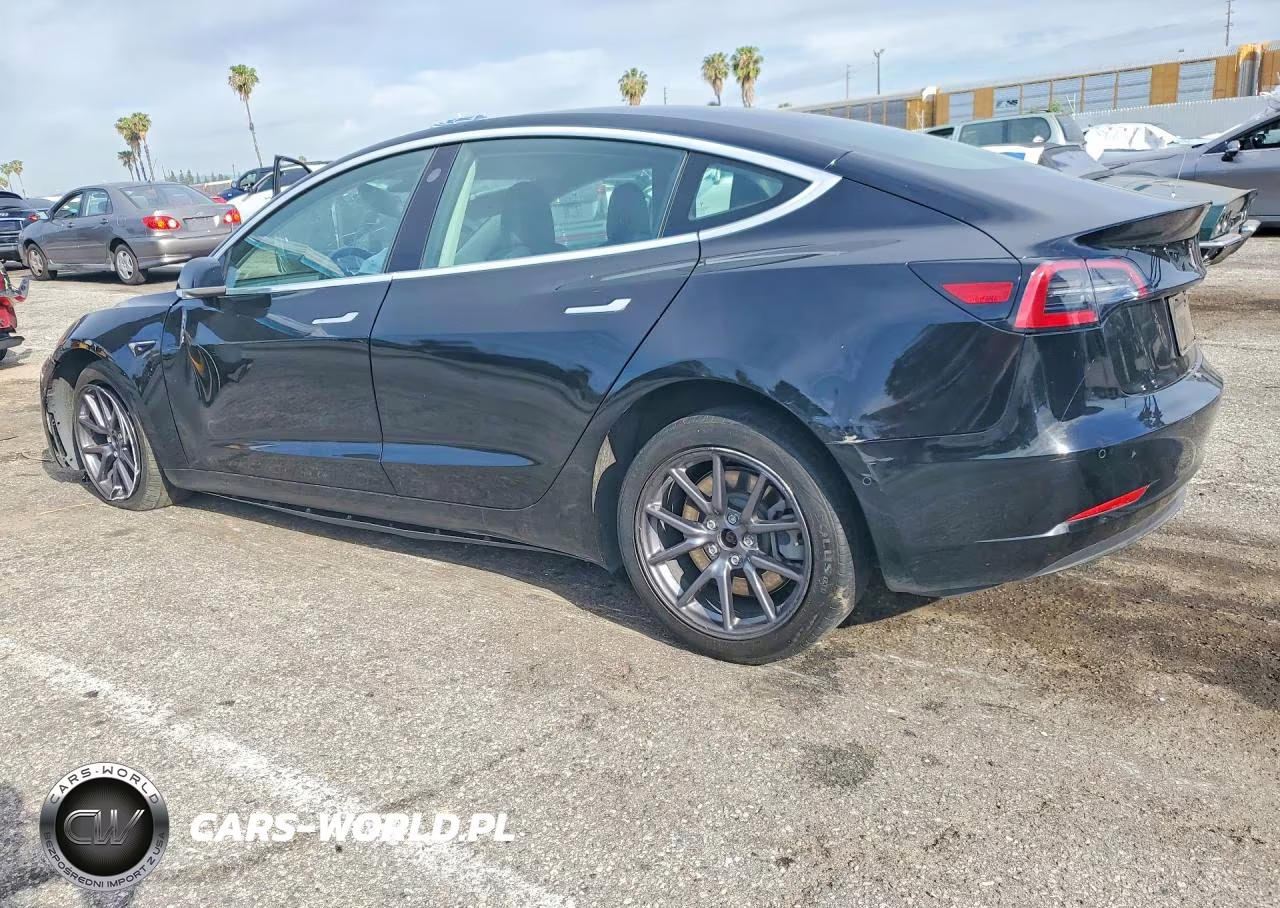 2019 Tesla Model 3 VIN:5YJ3E1EA0KF325175 - 2
