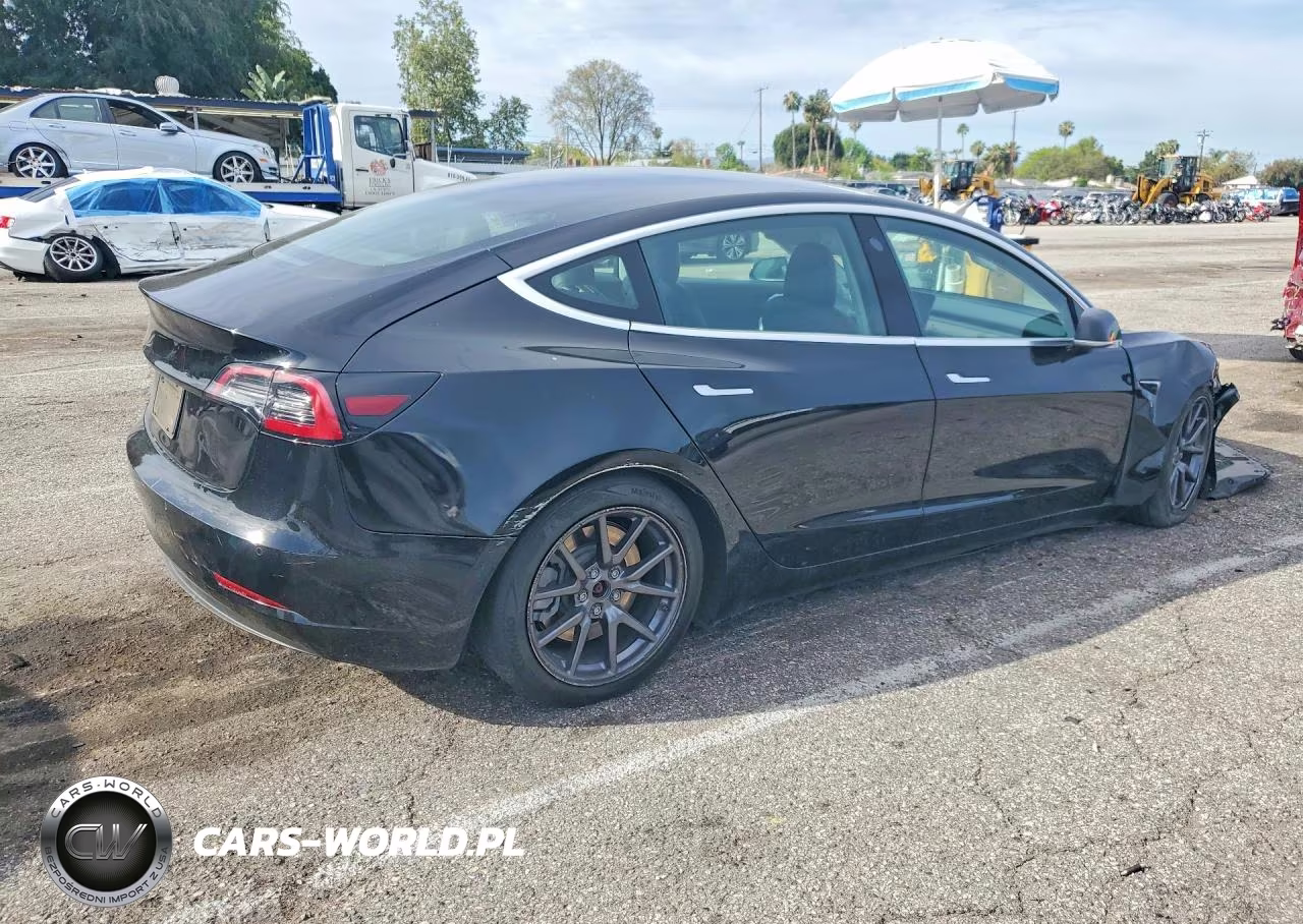 2019 Tesla Model 3 VIN:5YJ3E1EA0KF325175 - 3