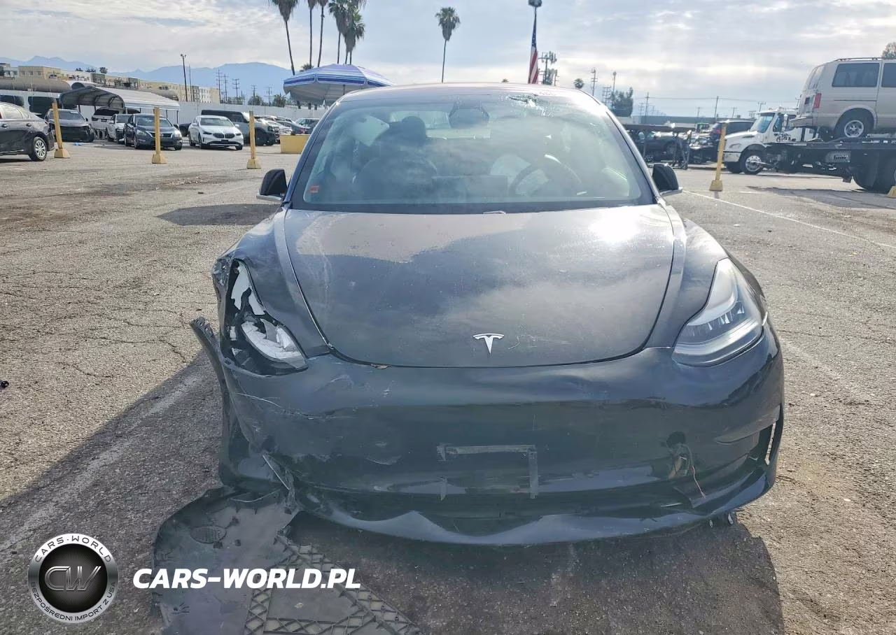 2019 Tesla Model 3 VIN:5YJ3E1EA0KF325175 - 5