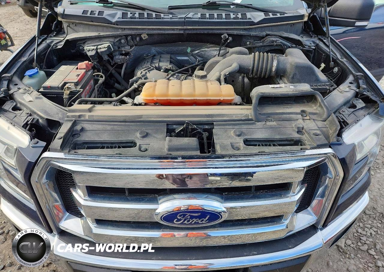 2017 Ford F150 Supercrew VIN:1FTEW1E83HFA36606 - 11