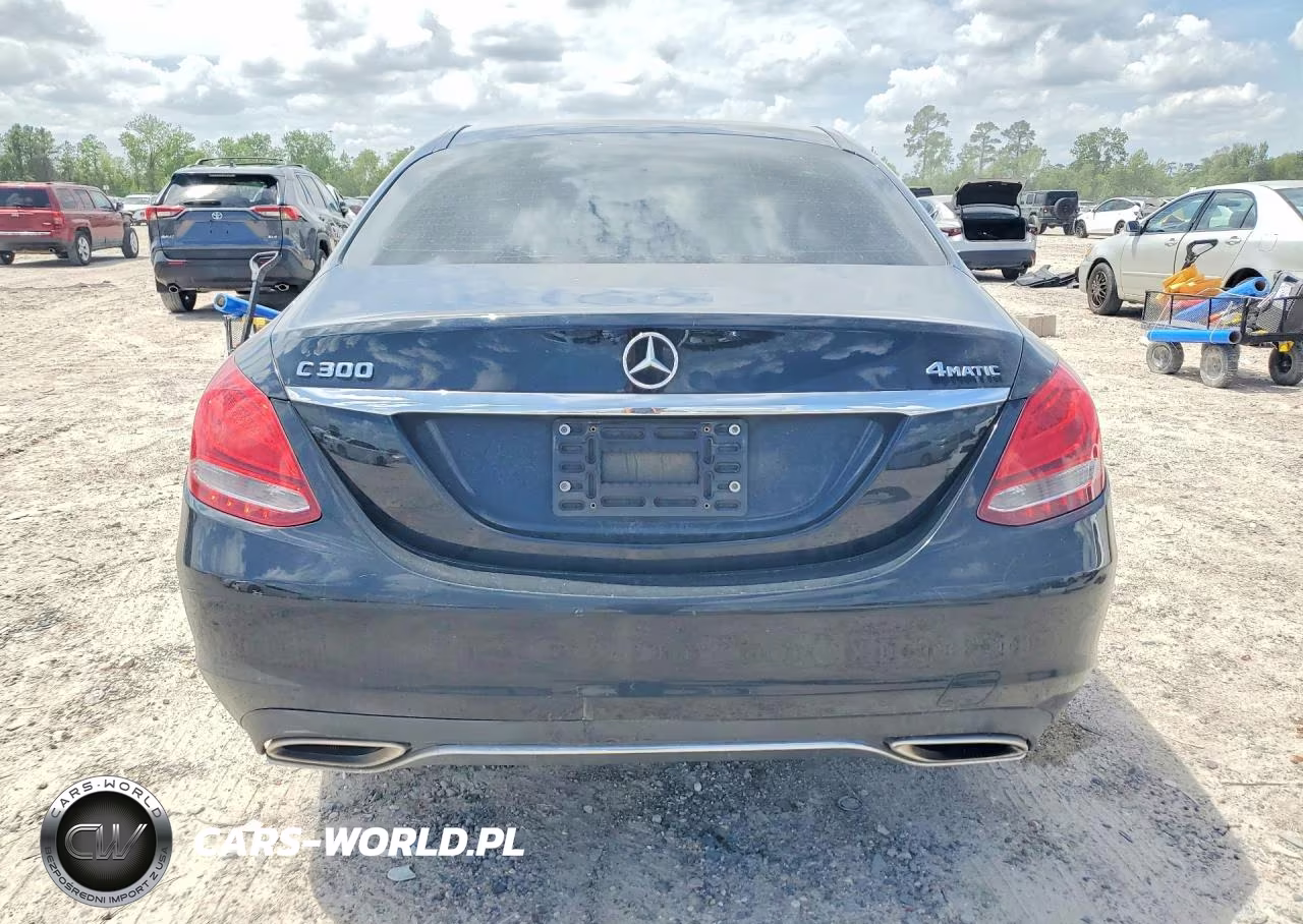 2017 Mercedes-Benz C 300 4Matic VIN:55SWF4KB1HU216627 - 6