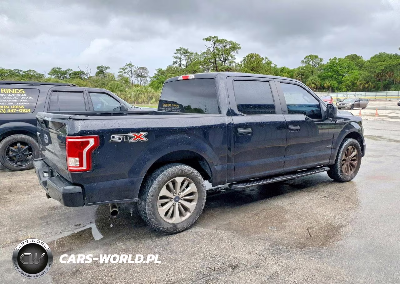 2017 Ford F150 Supercrew VIN:1FTEW1CP0HFC81048 - 3