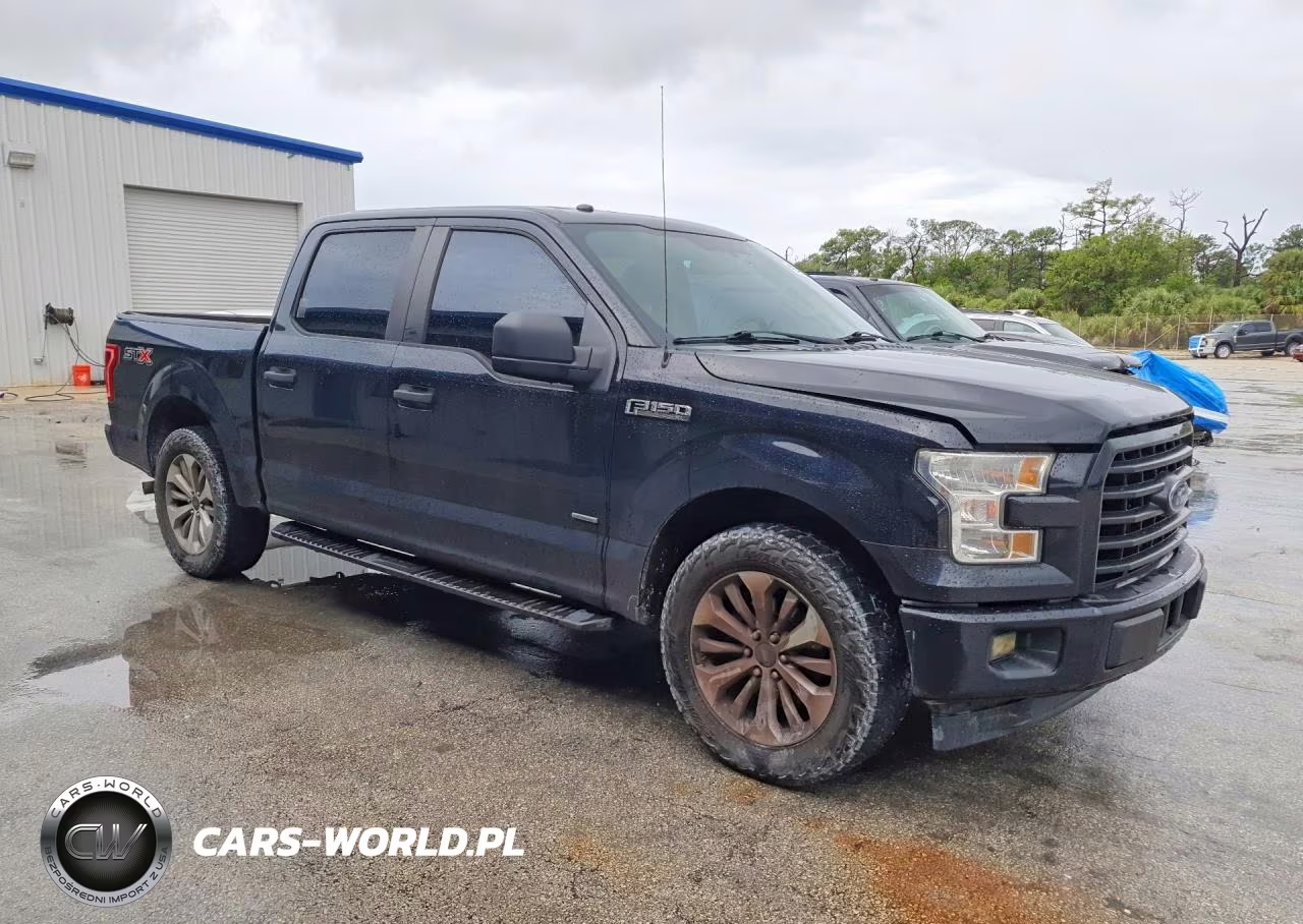2017 Ford F150 Supercrew VIN:1FTEW1CP0HFC81048 - 4