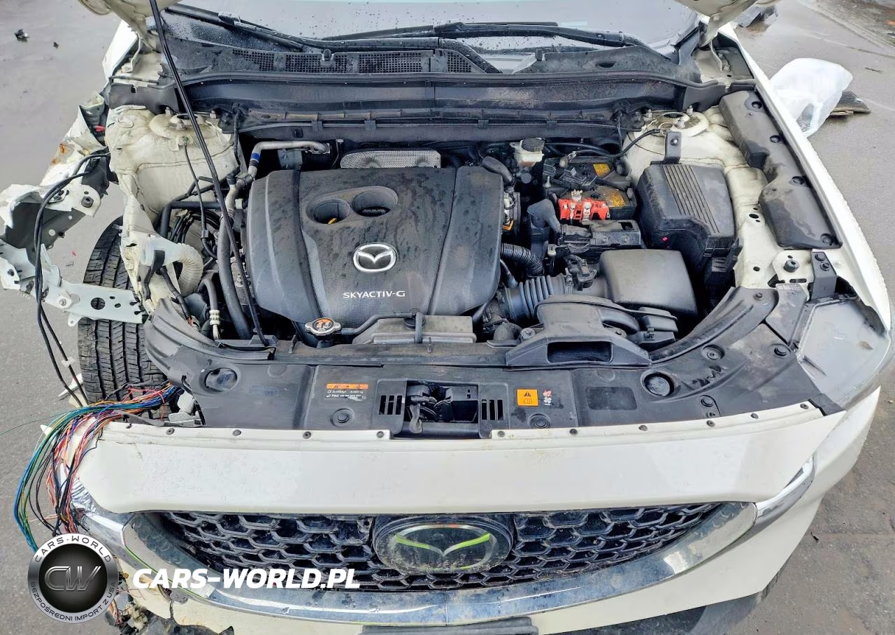 2022 Mazda Cx-5 Premium VIN:JM3KFBDM0N1538948 - 12