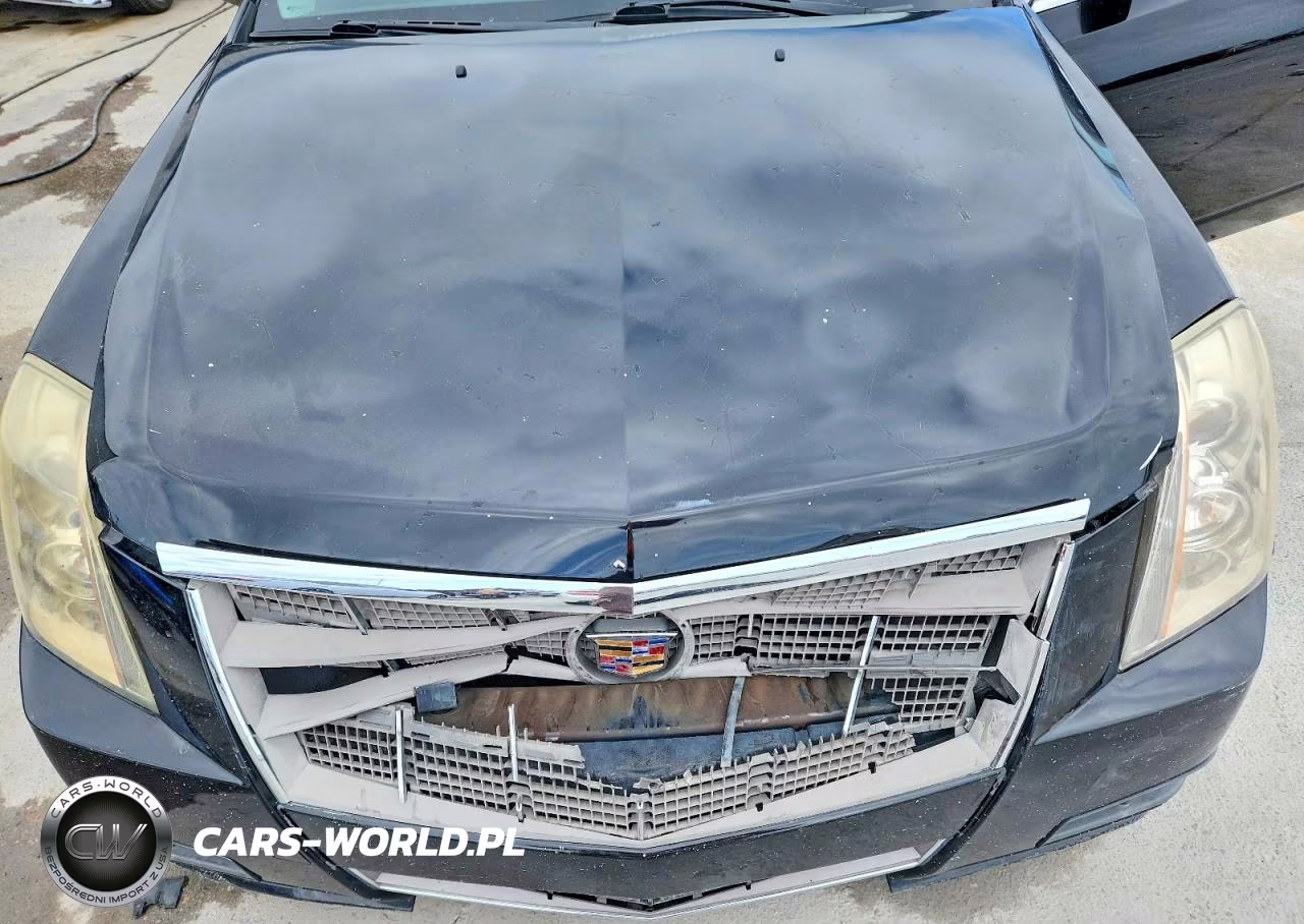 2010 Cadillac Cts Luxury Collection VIN:1G6DE5EG8A0128853 - 11