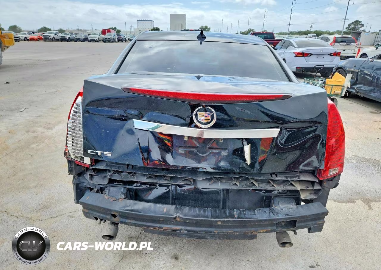 2010 Cadillac Cts Luxury Collection VIN:1G6DE5EG8A0128853 - 6