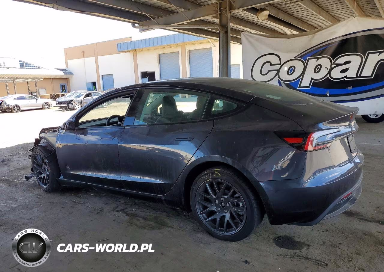 2025 Tesla Model 3 VIN:5YJ3E1EA3SF894232 - 2