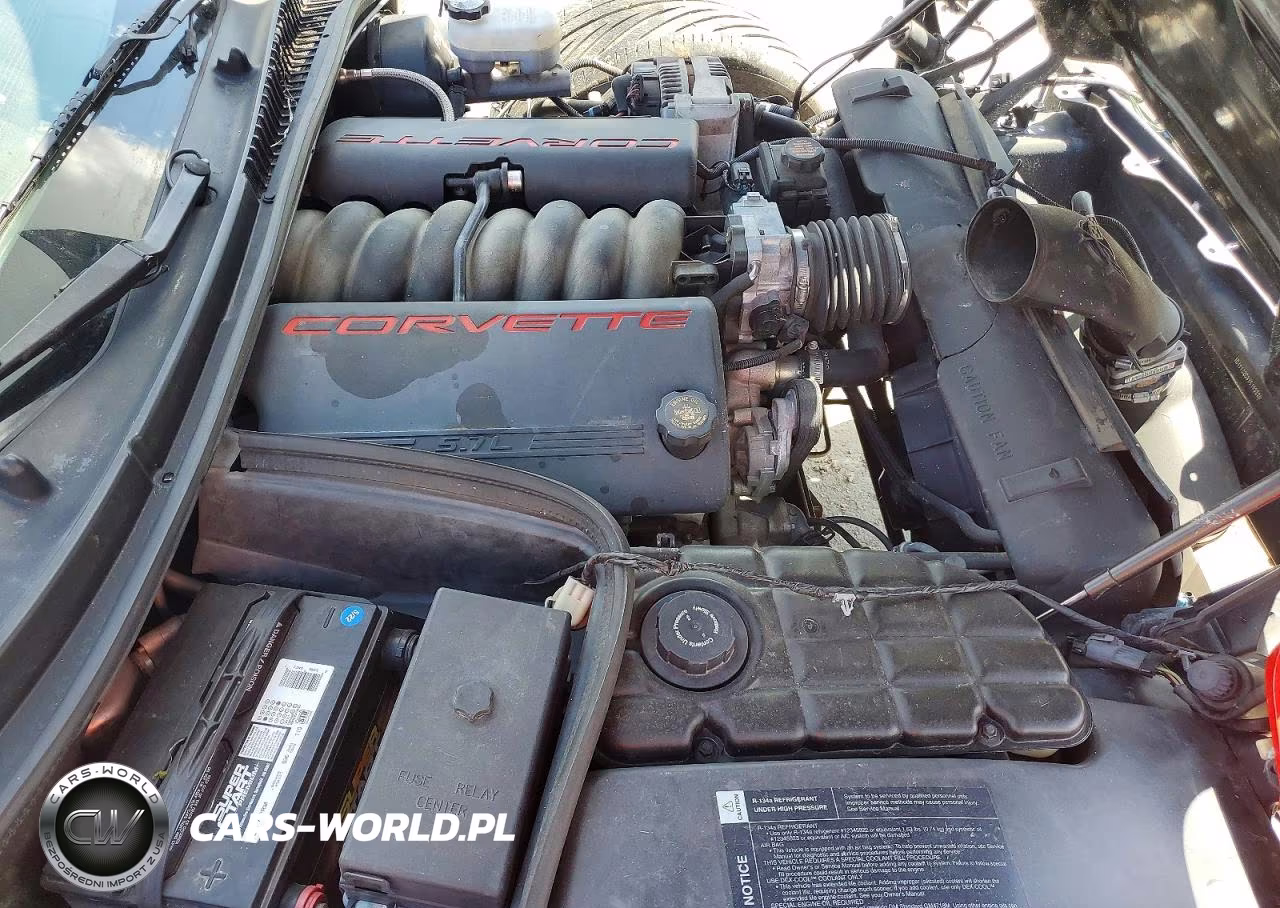 1999 Chevrolet Corvette VIN:1G1YY22G3X5108880 - 11