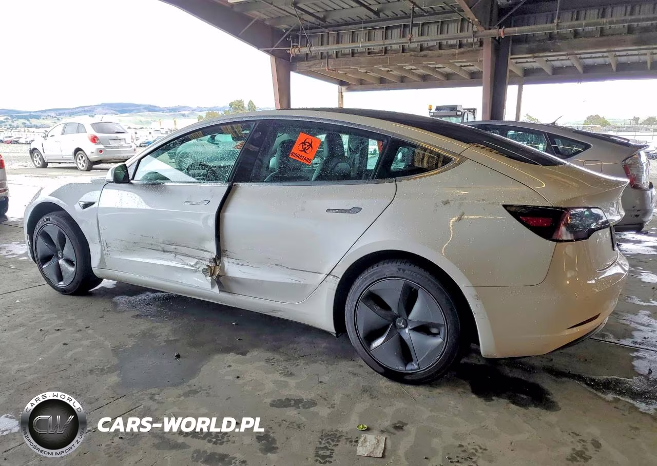 2020 Tesla Model 3 VIN:5YJ3E1EA1LF644781 - 2
