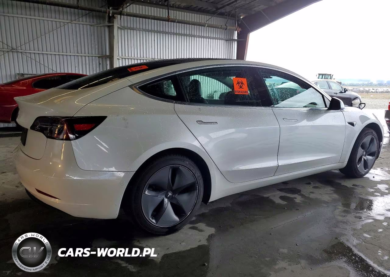 2020 Tesla Model 3 VIN:5YJ3E1EA1LF644781 - 3