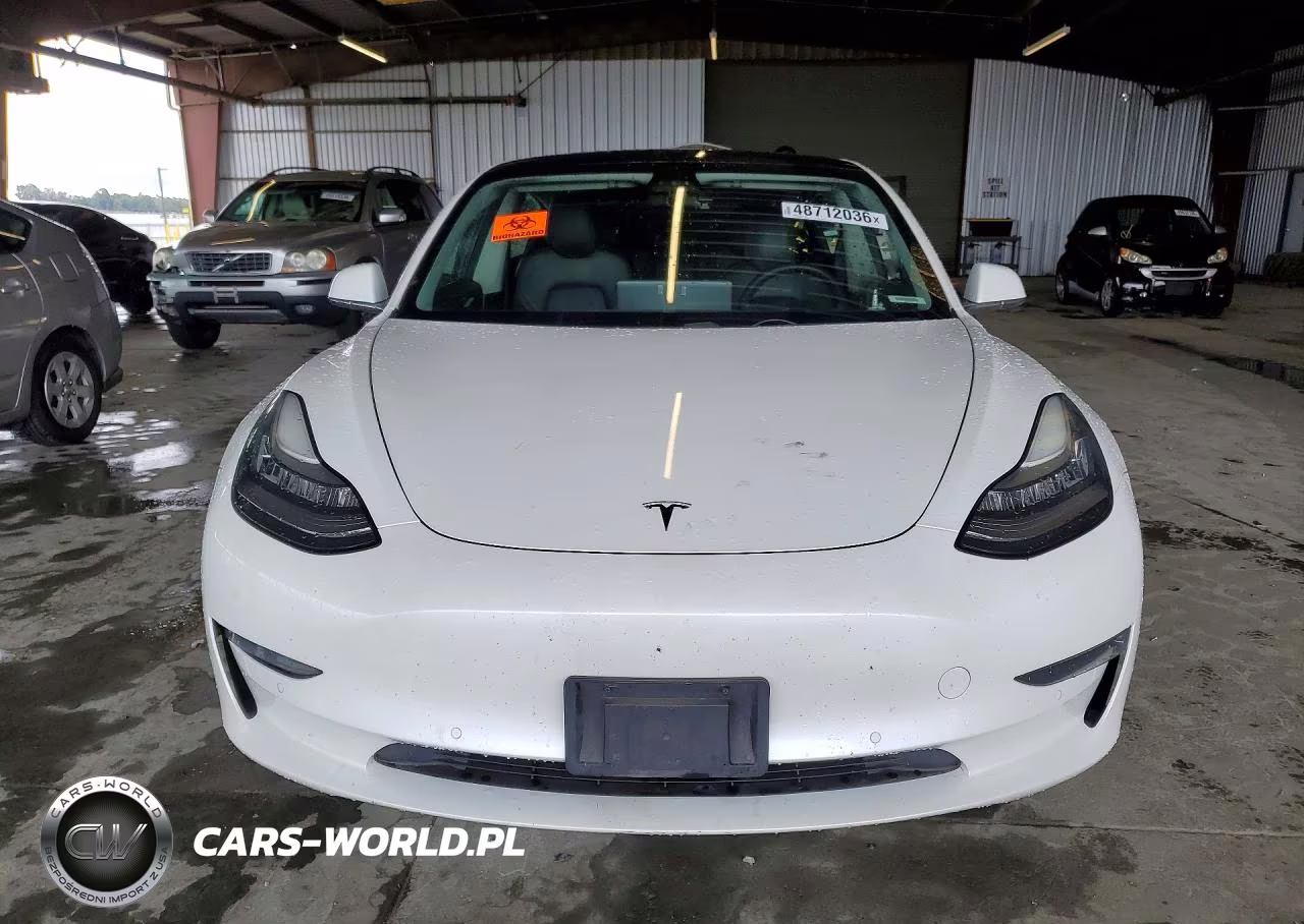 2020 Tesla Model 3 VIN:5YJ3E1EA1LF644781 - 5
