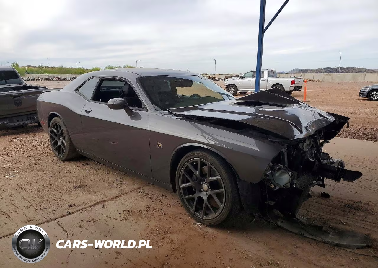 2016 Dodge Challenger R VIN:2C3CDZFJ5GH349820 - 4