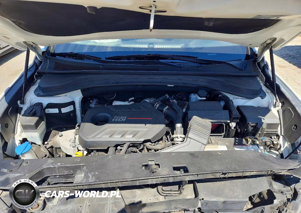 2020 Hyundai Santa Fe Sel 2.0T VIN:5NMS33AA3LH144316 - 12