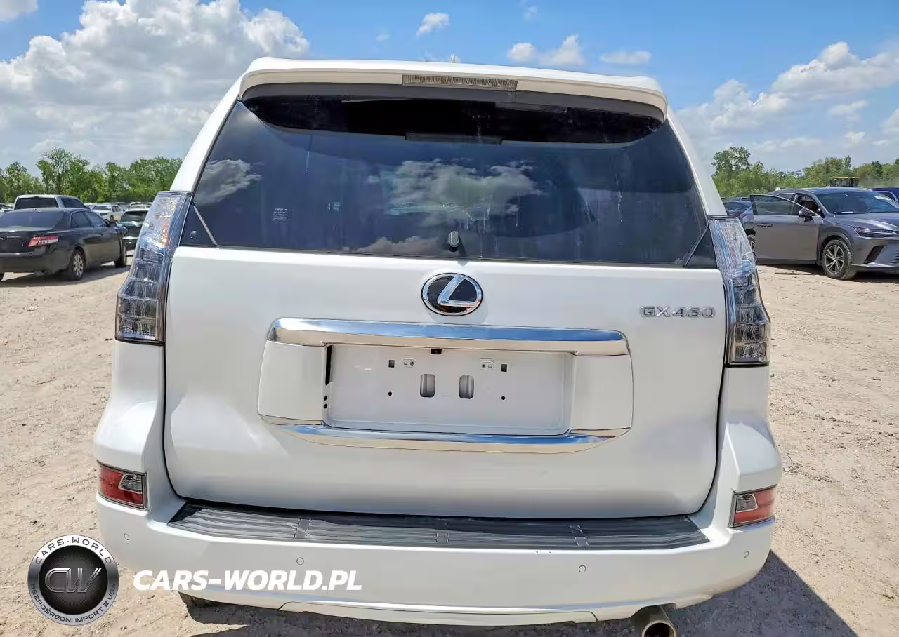 2023 Lexus Gx 460 VIN:JTJAM7BX7P5356015 - 6