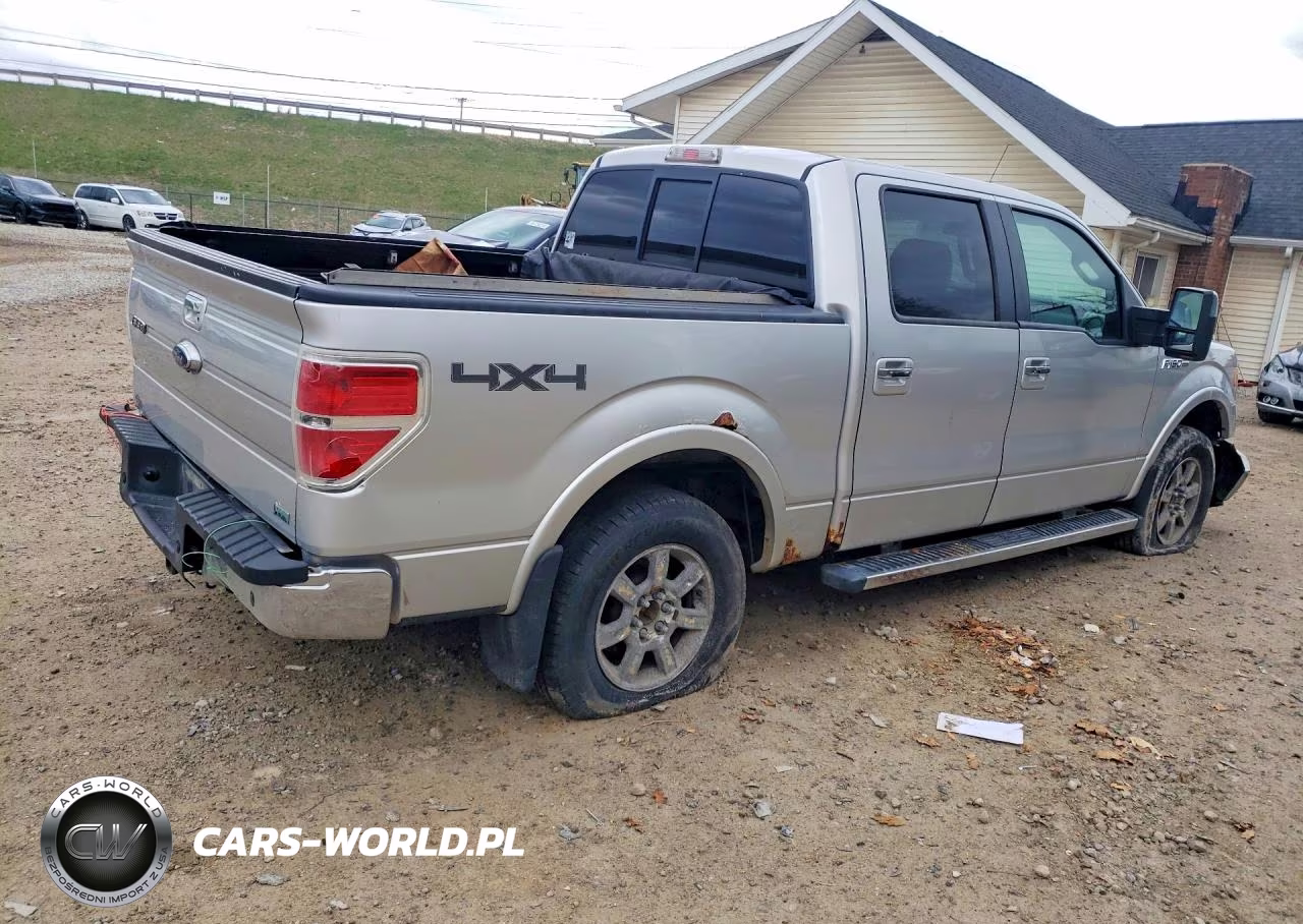 2010 Ford F150 Supercrew VIN:1FTFW1EV2AFA85702 - 3