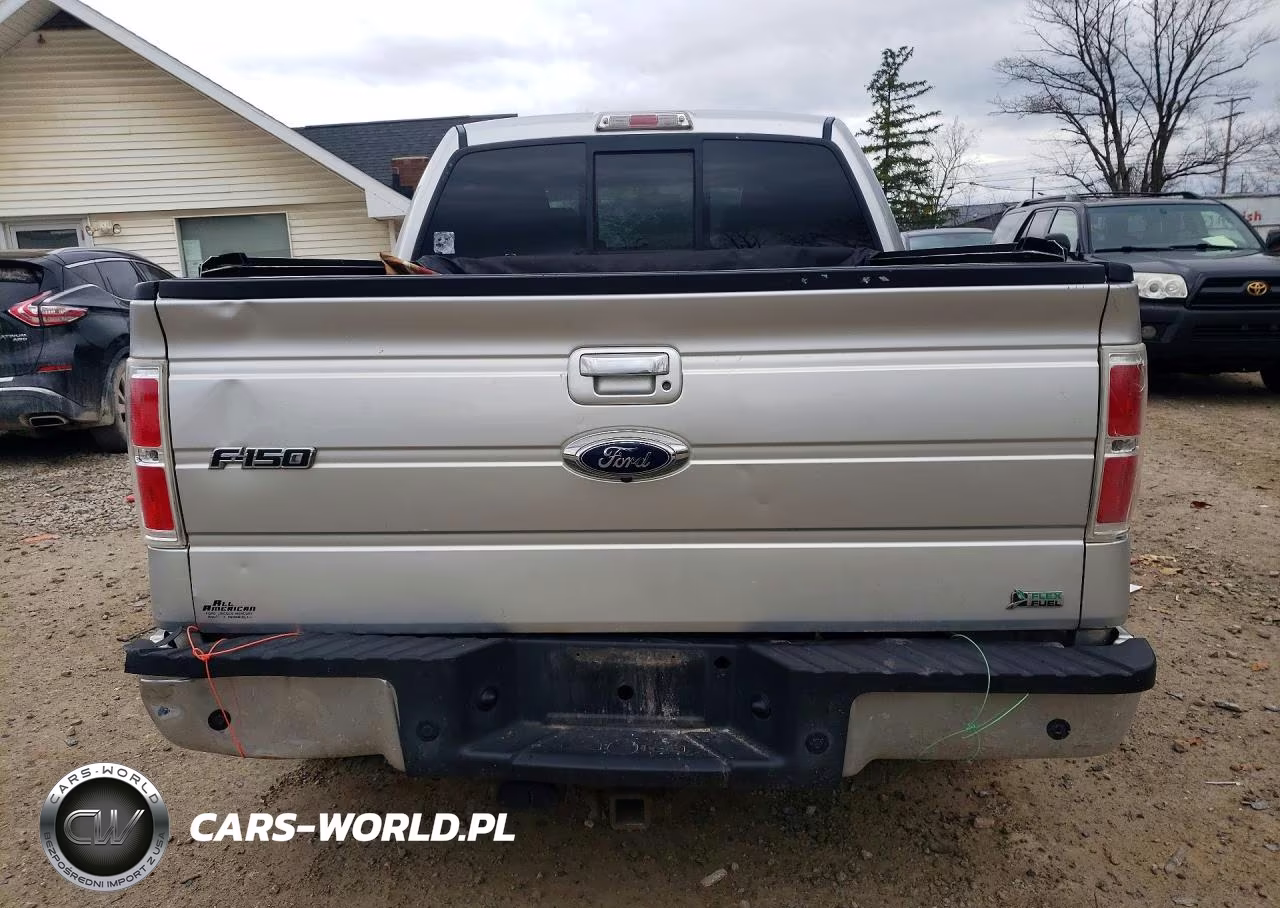 2010 Ford F150 Supercrew VIN:1FTFW1EV2AFA85702 - 6
