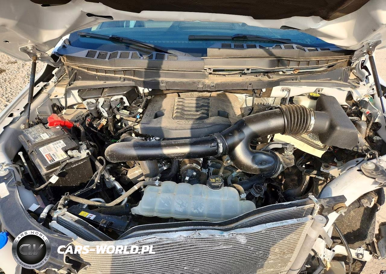 2022 Ford F150 Supercrew VIN:1FTEW1E80NFB31331 - 13