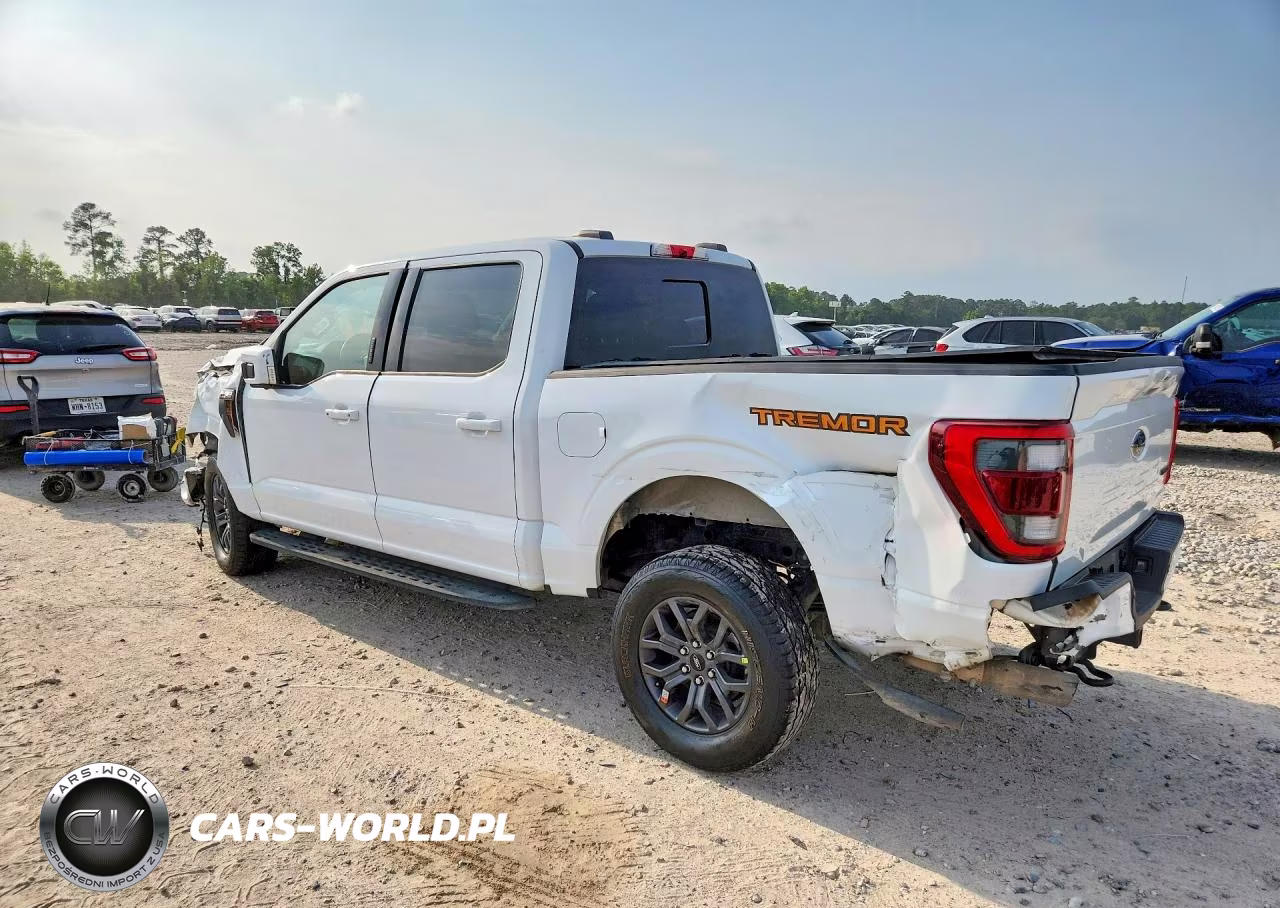 2022 Ford F150 Supercrew VIN:1FTEW1E80NFB31331 - 2